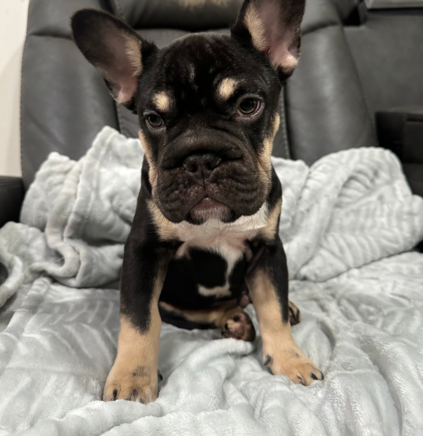Rosco